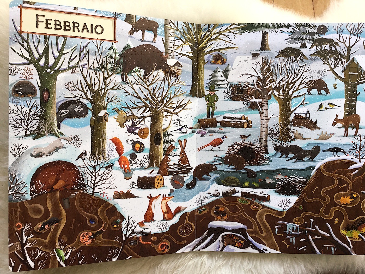 Anno-foresta-Emilia-Dziubak_Fabbri-Editori-Galline-Volanti