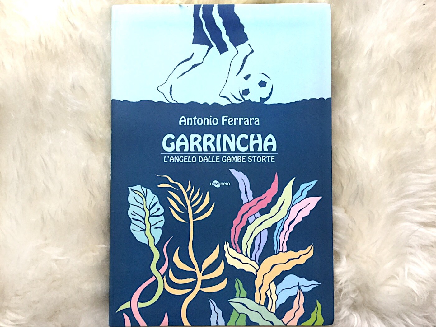 garrincha-antonio-ferrara-uovonero-galline-volanti garrincha-antonio-ferrara-uovonero-galline-volanti