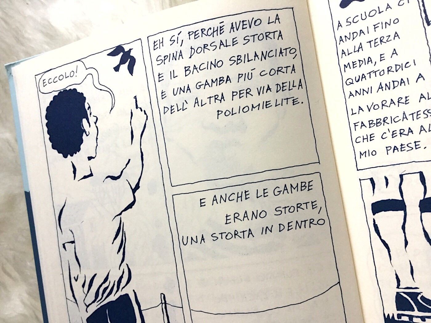 garrincha-antonio-ferrara-uovonero-galline-volanti garrincha-antonio-ferrara-uovonero-galline-volanti