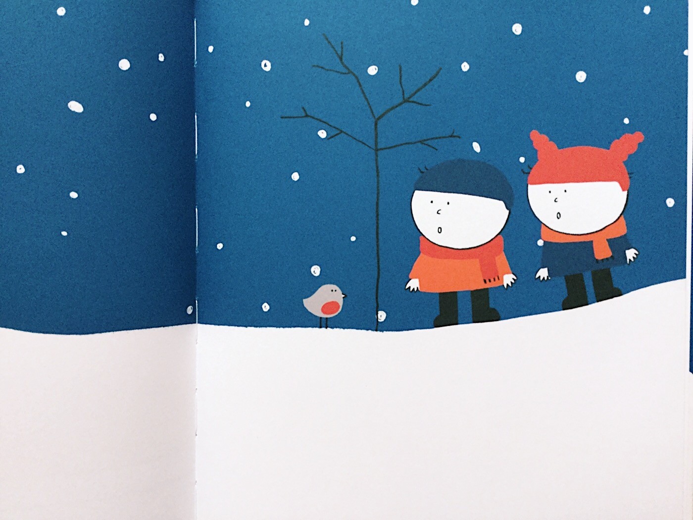 Guarda-fuori-Silvia-Borando-Minibombo-Galline-Volanti