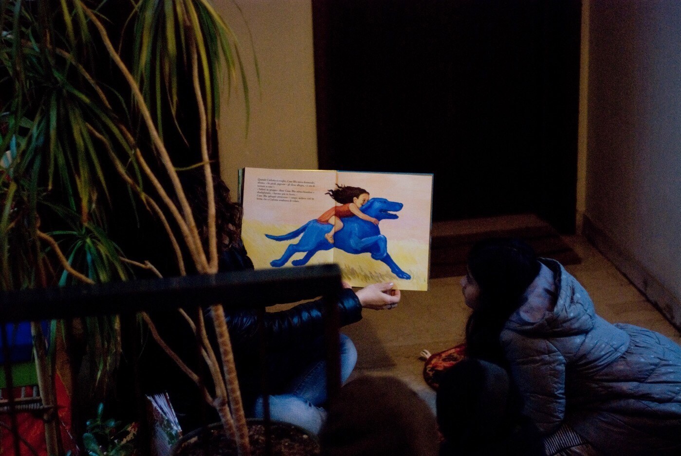 325E9901-7F5A-459E-839B-24F63C31AB32 325E9901-7F5A-459E-839B-24F63C31AB32