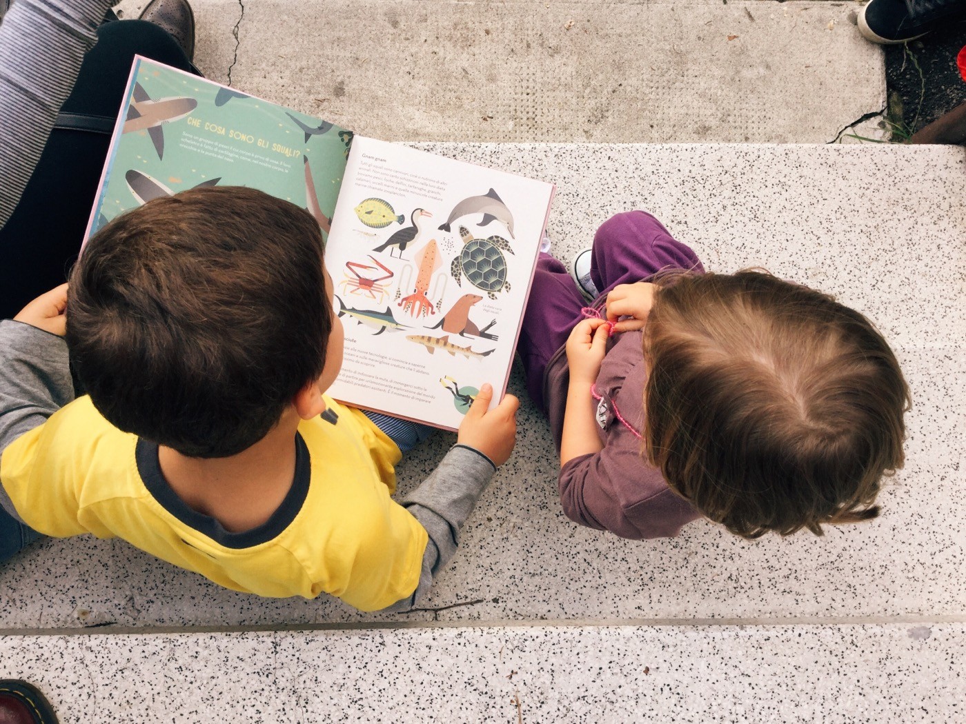 8FBF7AF7-E0FF-442E-90DA-C09CB090D2E2