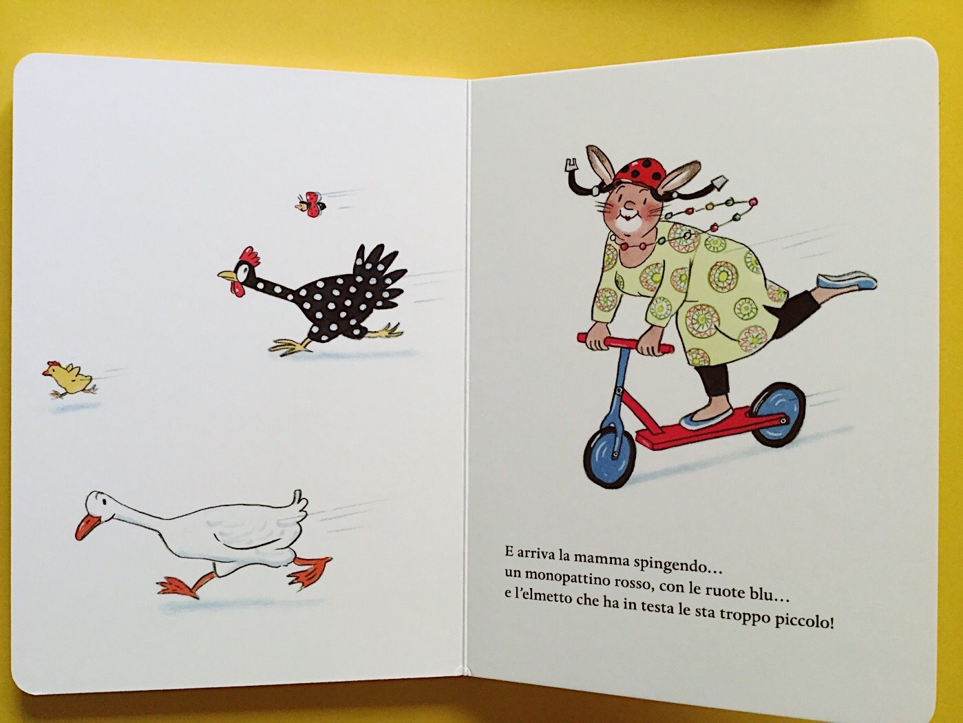 Processed with VSCO with fp2 preset