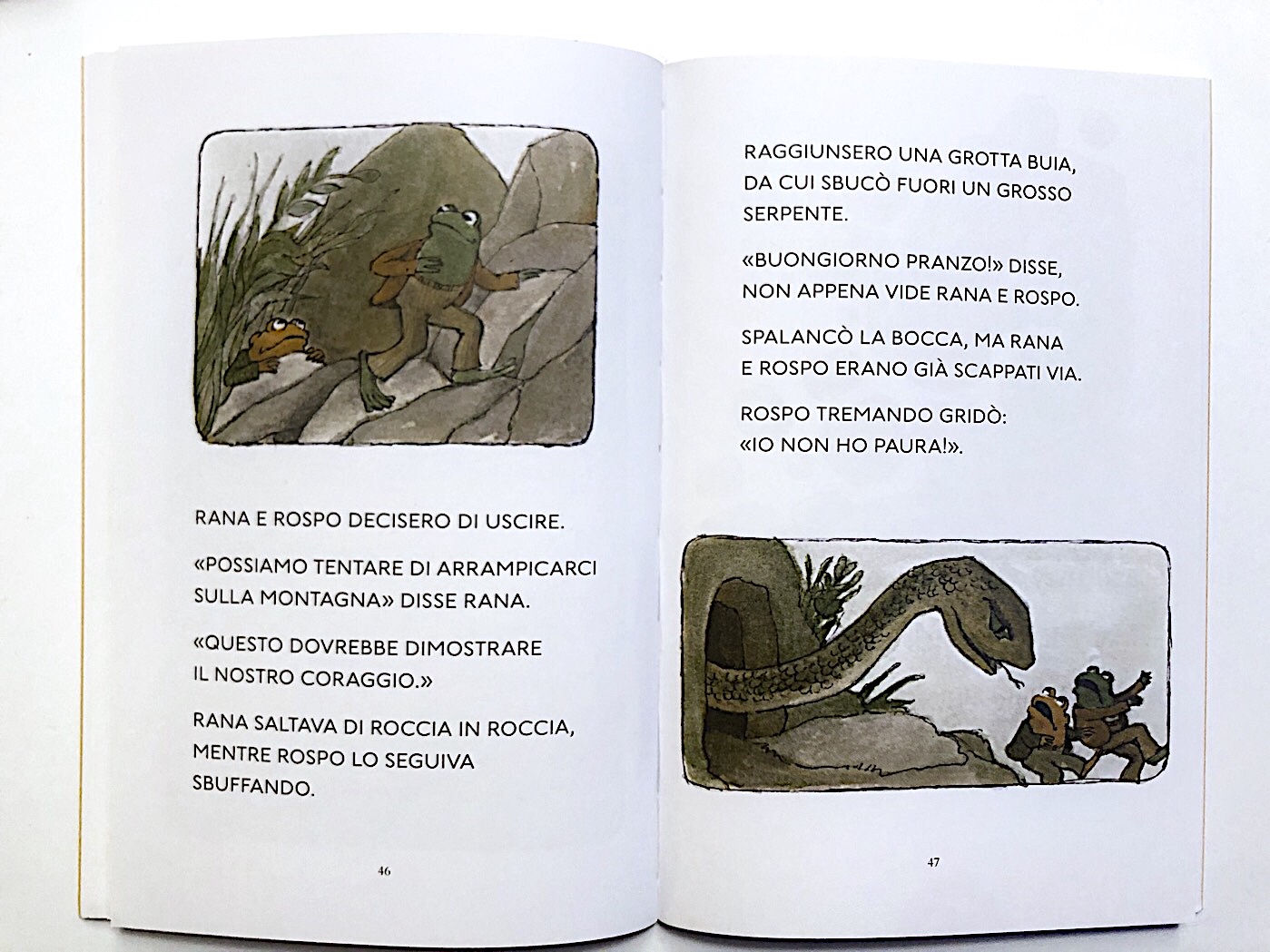 Gufo-ora-dormire-rana-rospo-sempre-insieme-arnold-lobel-babalibri