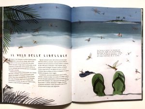 migrazioni-mike-unwin-jenni-desmond-editoriale-scienza_2