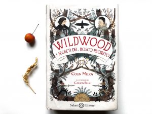 wildwood-colin-meloy-carson-ellis-salani