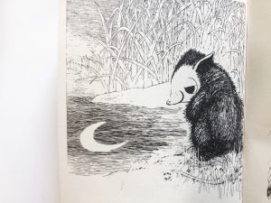 oppossum-invece-no-frank-tashlin-donzelli