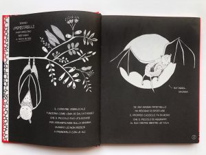 piccolo-libro-grandi segreti-animali-Maja-Säfström