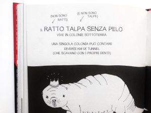 piccolo-libro-grandi segreti-animali-Maja-Säfström
