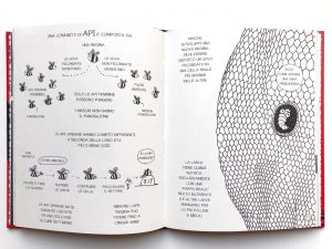 piccolo-libro-grandi segreti-animali-Maja-Säfström