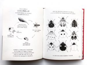 piccolo-libro-grandi segreti-animali-Maja-Säfström