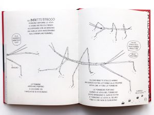 piccolo-libro-grandi segreti-animali-Maja-Säfström
