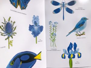 rosso-come-pascale-estellion-ippocampo-galline-volanti