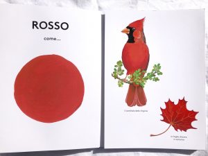 rosso-come-pascale-estellion-ippocampo-galline-volanti