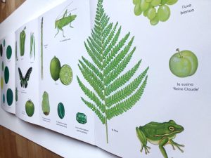 rosso-come-pascale-estellion-ippocampo-galline-volanti