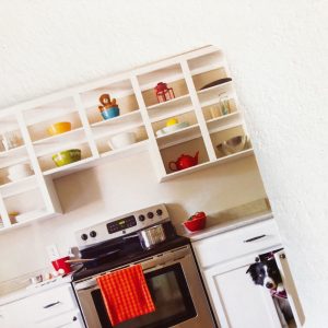 dov'è-momo-andrew-knapp-topipittori-galline-volanti-2