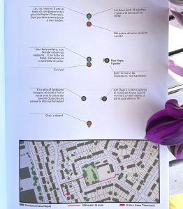 colore-cose-martin-panchaud-coconino-galline-volanti-2